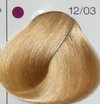 Londacolor 12/03 специальный блонд натурально-золотистый